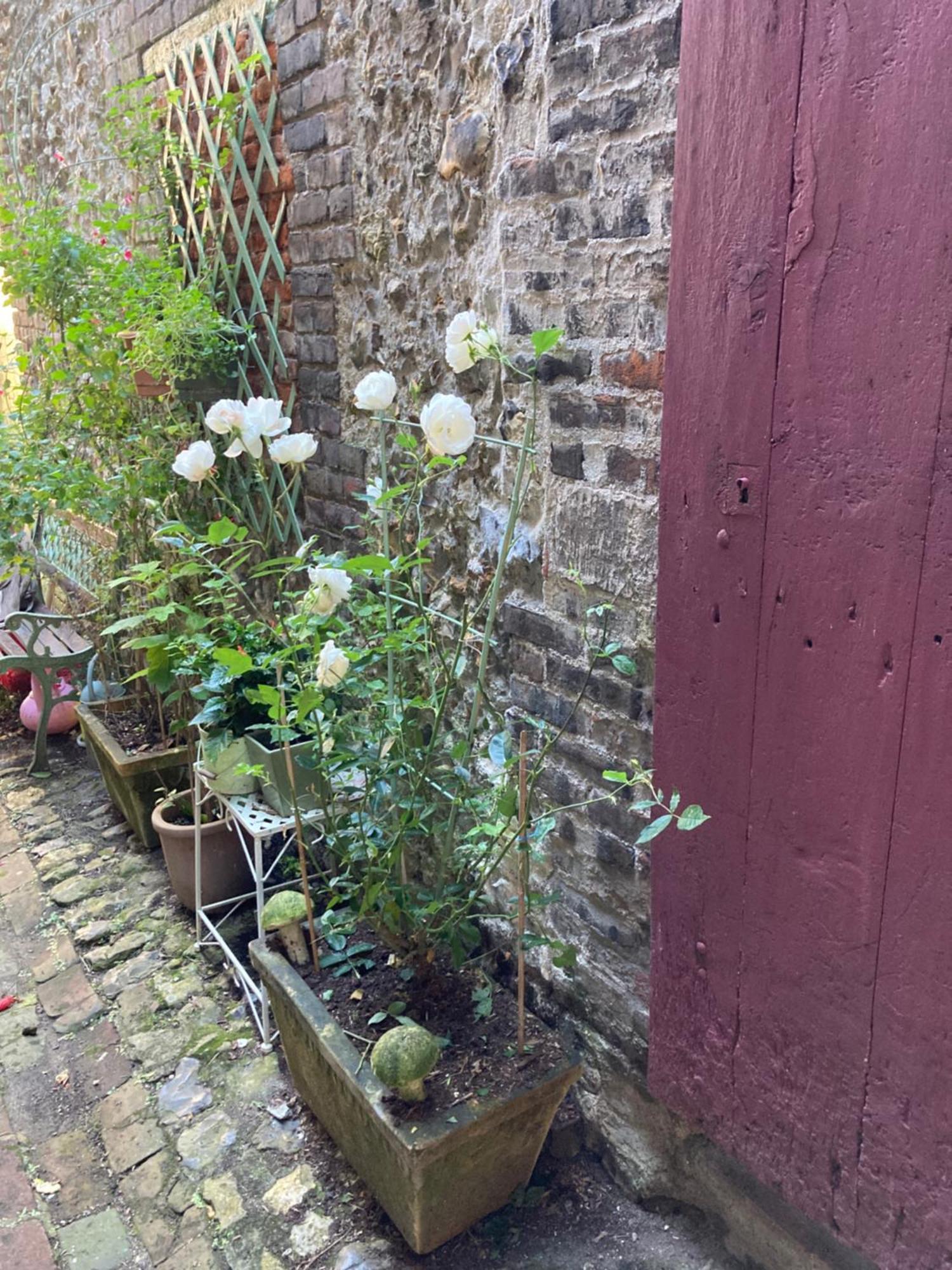 La Maison Belle Maree Honfleur Exteriör bild