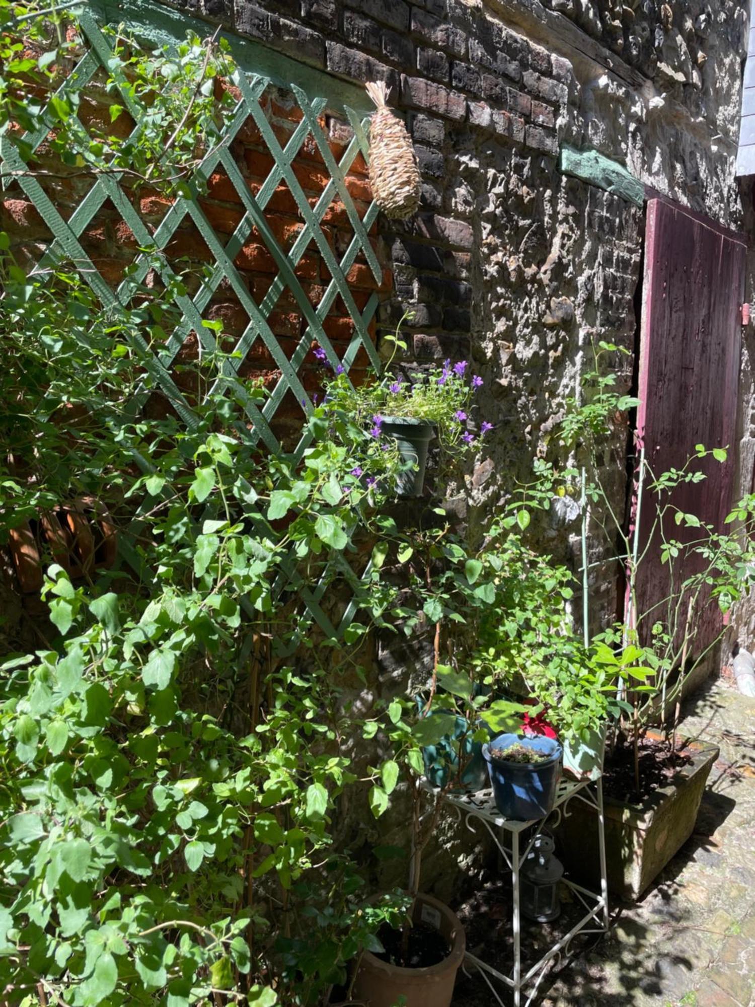 La Maison Belle Maree Honfleur Exteriör bild